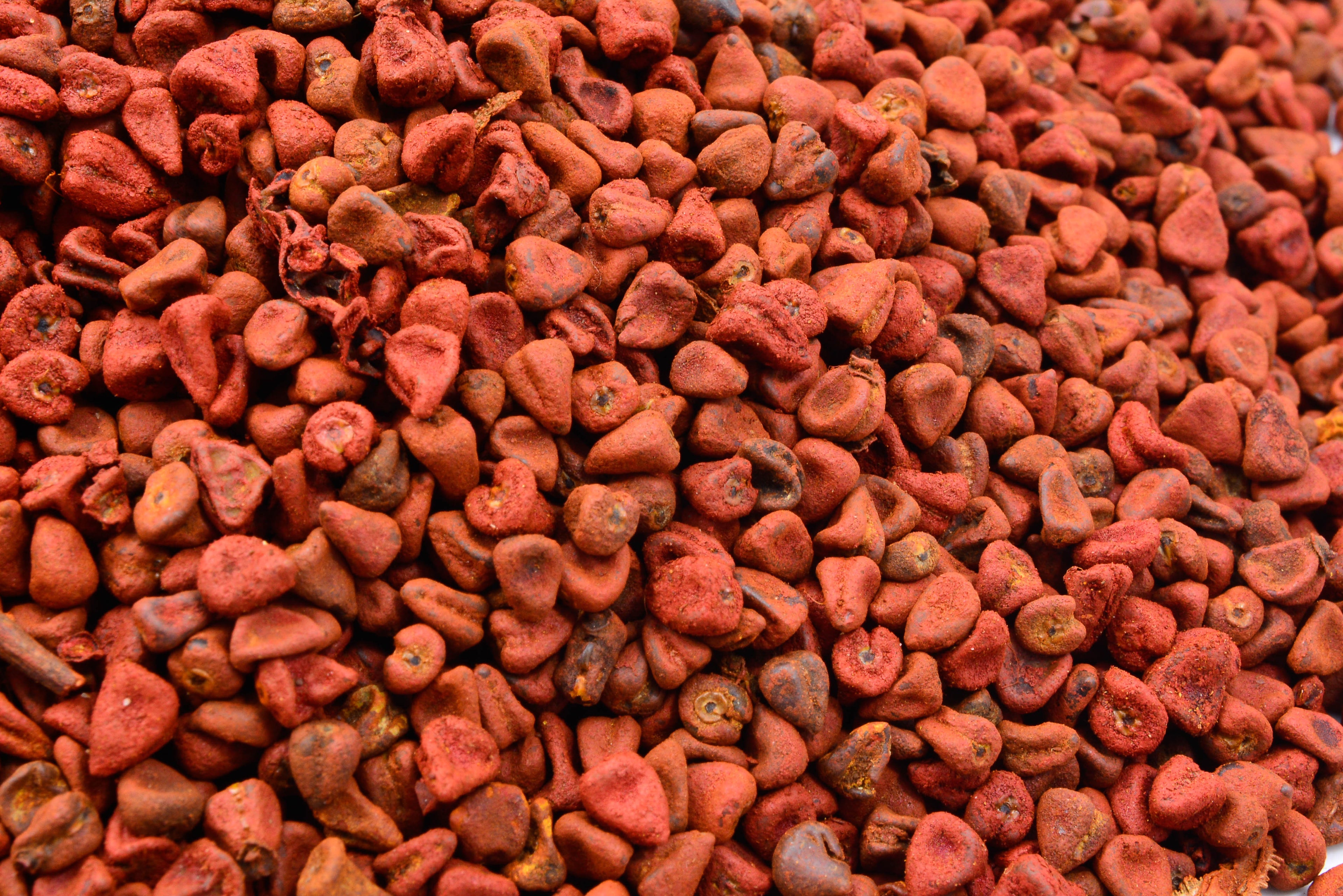 ACHIOTE ENTERO