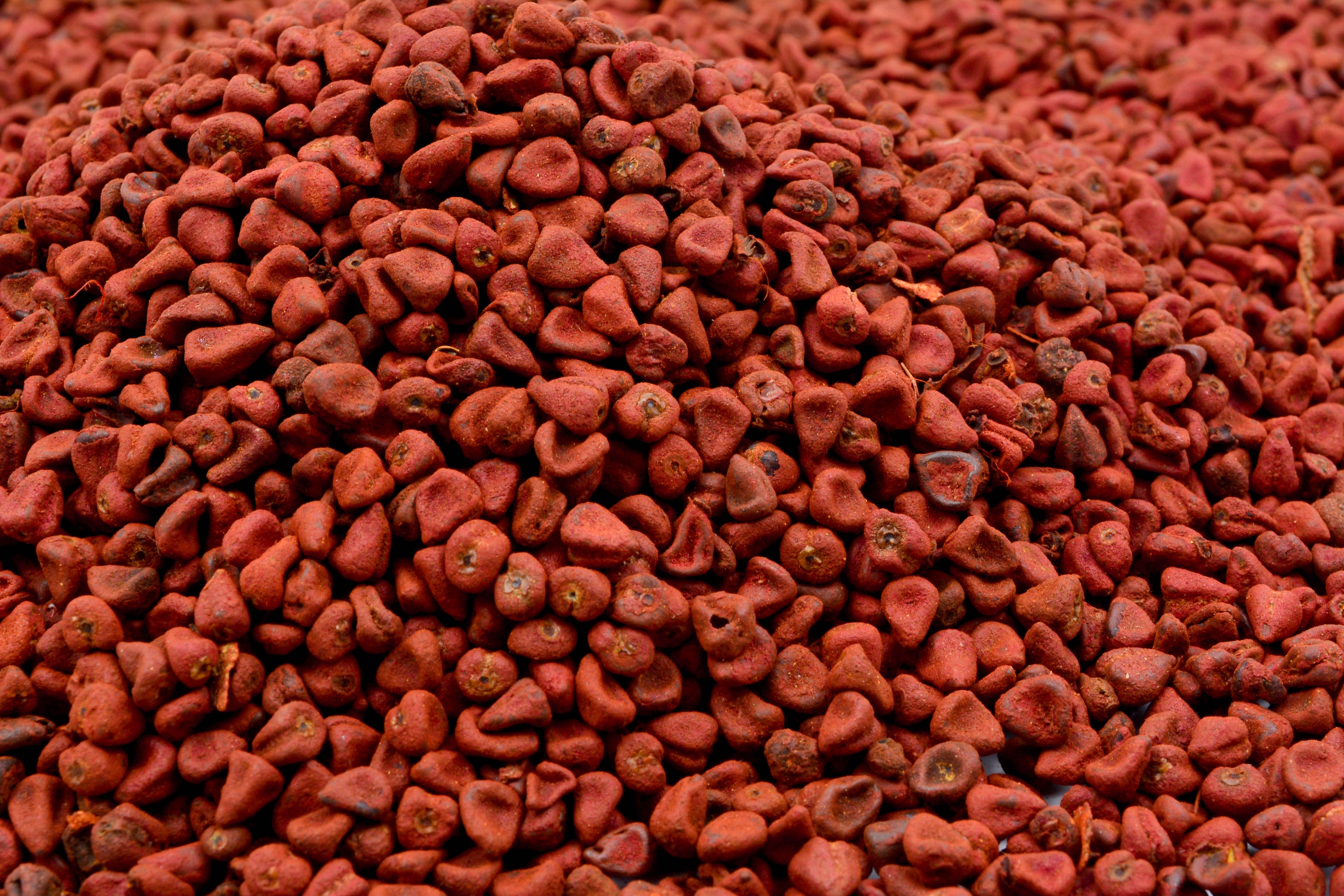 ACHIOTE ENTERO