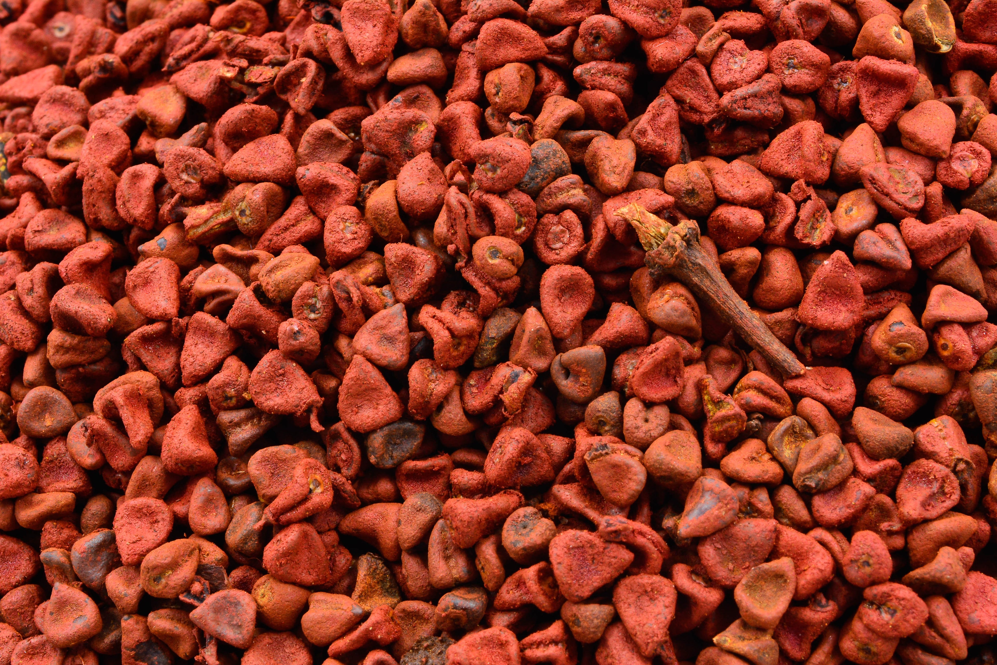 ACHIOTE ENTERO