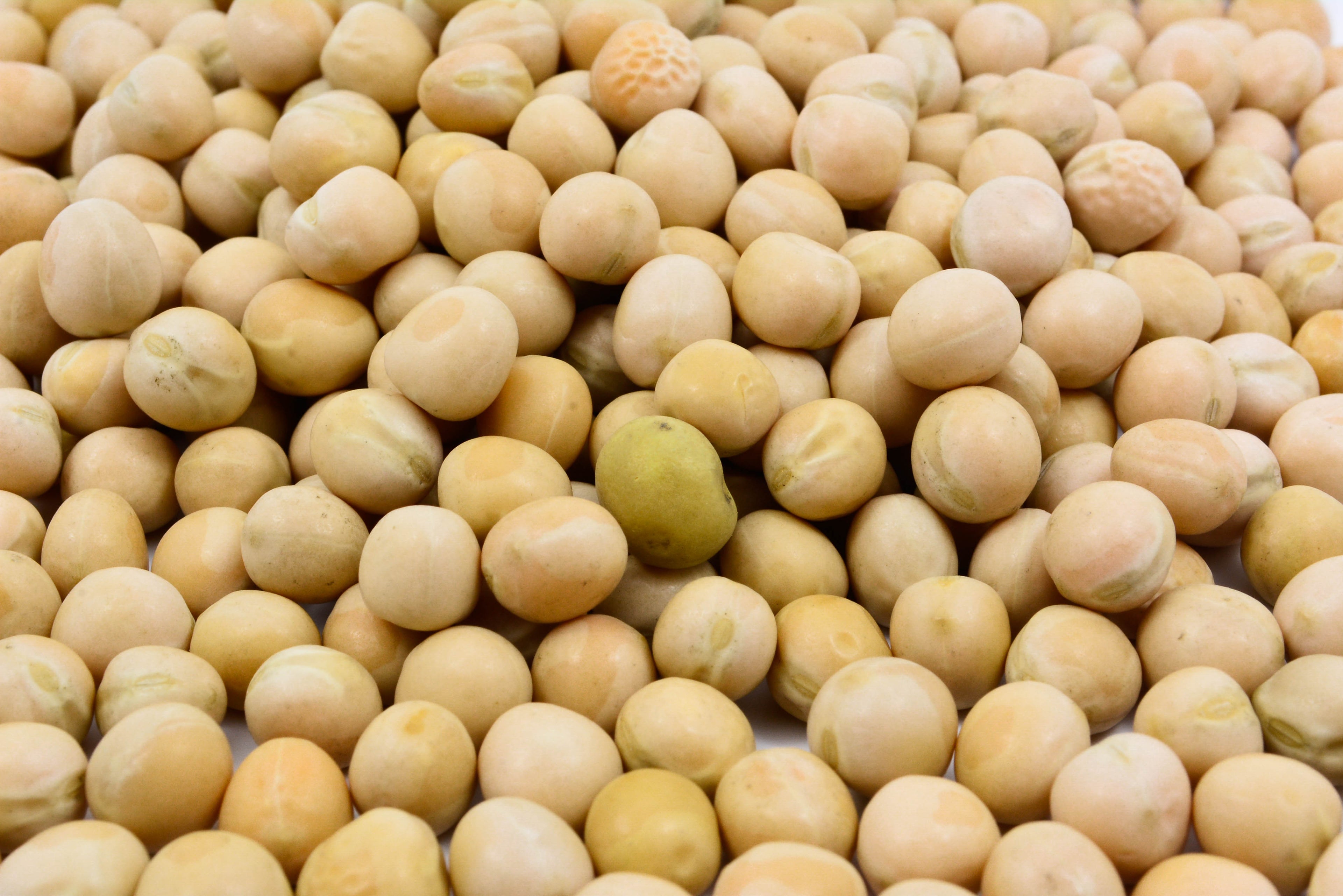 ALBERJON ORO AMARILLO